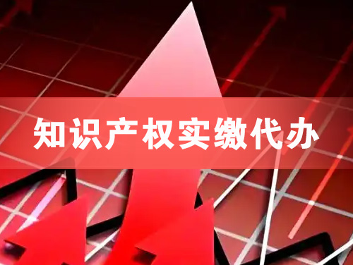 大庆知识产权实缴资本代办